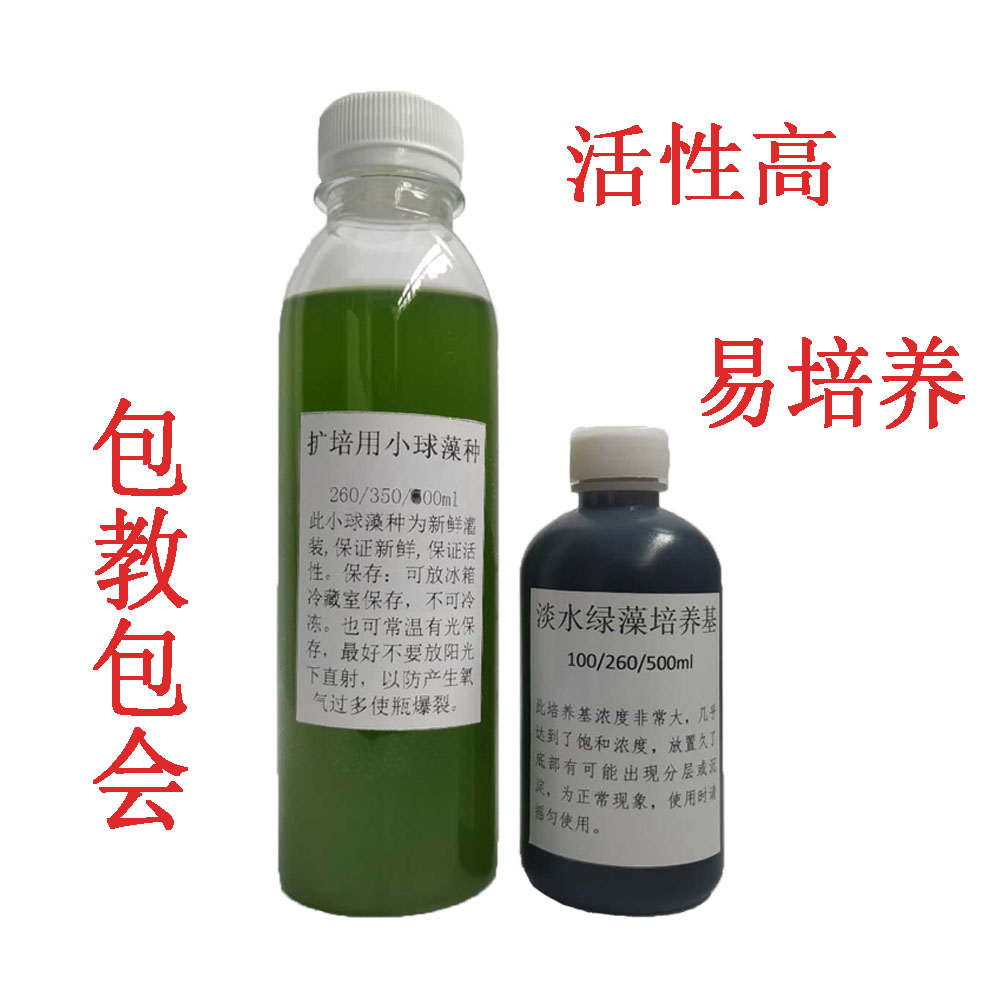 淡水小球藻扩培套装藻种绿水+培养基快速培藻水产养殖调水纯种