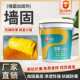 抗碱固墙加固封闭剂墙面剂固沙混凝土剂防潮地墙面固界面剂宝强固
