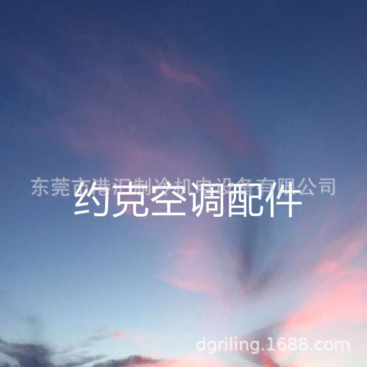 约克配件 025-52739-000 025-41573-000