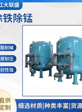 源头厂家除铁除锰过滤器加厚耐压耐酸地下水井水除铁锰设备定制