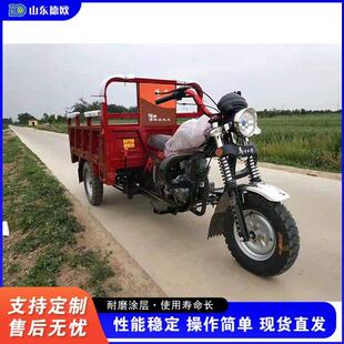 外贸出口Gasoline cargo motorcycle tricycle爬坡载重三轮农用车