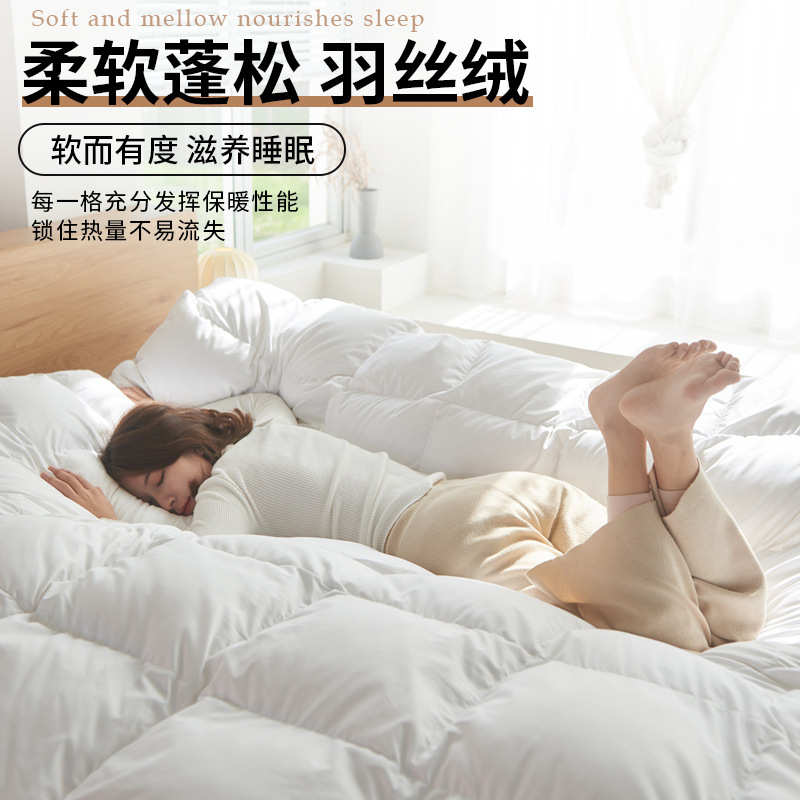 日式空调被单芯民春秋被单子超被被纤维宿酒店被暖冬柔软双人保被