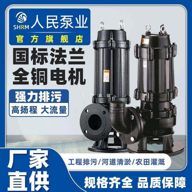 上海WQ人民污水泵无堵塞高扬程大流量泥浆抽水泵380V潜水排污泵图片