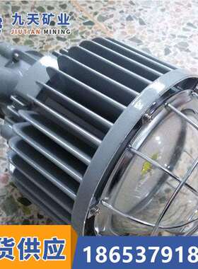 LED巷道灯 矿用LED隔爆型巷道灯 煤矿井下LED灯