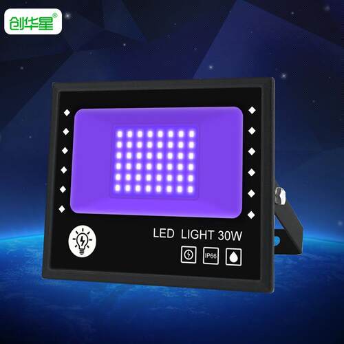 跨境LED投光灯 30W60W100W防水紫光投光灯泛光灯户外射灯厂家直销