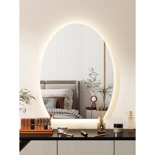 化妆镜壁挂蛋形梳妆镜卧室挂墙led异形智能镜带灯发光梳妆台镜子