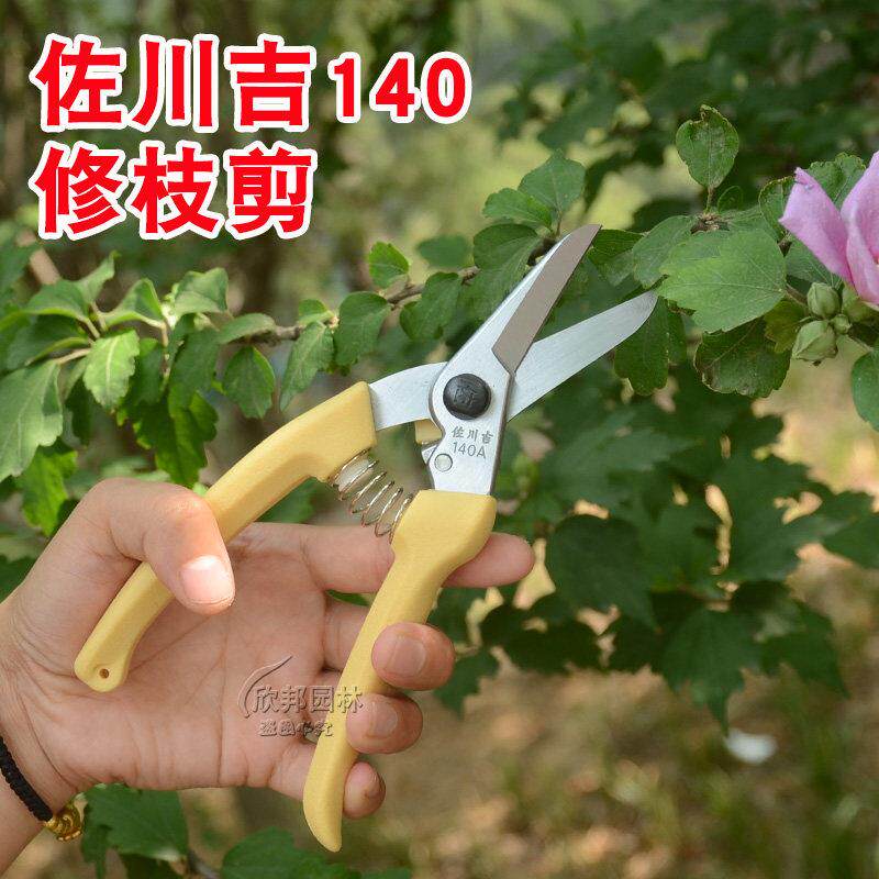 佐川吉140修枝剪尖嘴剪采果剪枝剪整枝剪园艺剪果树剪苗木园艺剪