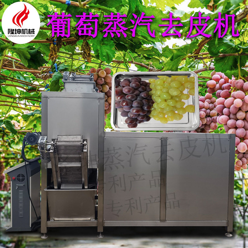 可定制多功能葡萄蒸汽去皮机 全自动不锈钢蒸汽爆皮机 机械