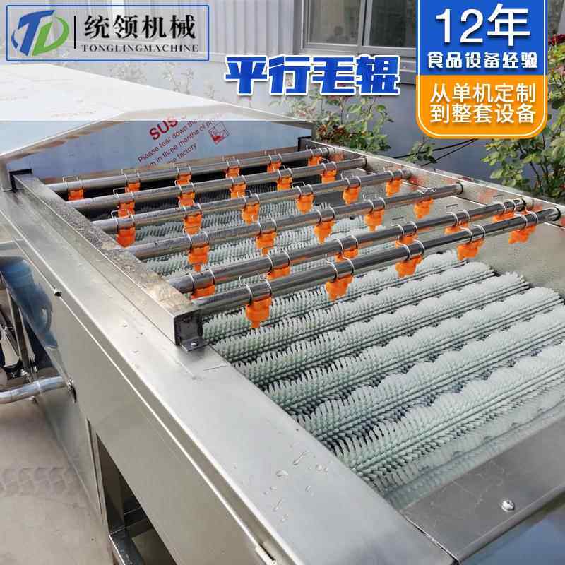 平行式果蔬海鲜去杂清洗机扇贝喷淋加毛辊清洗设备去泥清洗机
