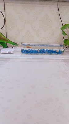 使用解读洛鲁鱼缸怎么样，全方位深度解析