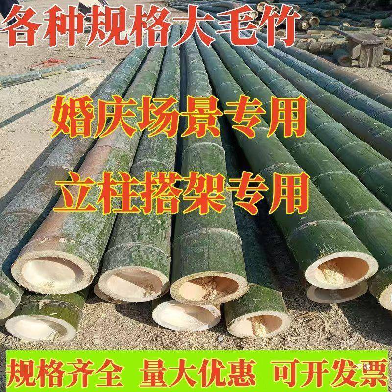 竹竹筒竹竿楠竹毛竹婚庆竹子搭架跳舞立柱户外庭院