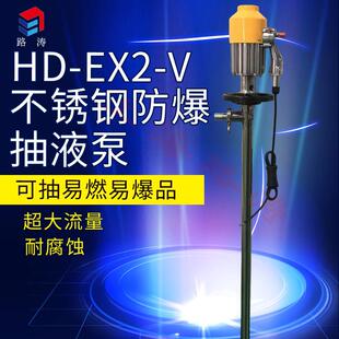 防爆油桶泵手提式 HD电动抽液泵HD 化工插桶泵 1500HP SS304 EX2