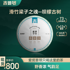 吉普号2024年春茶藏山603滑竹梁子云南普洱古树生普洱茶叶饼