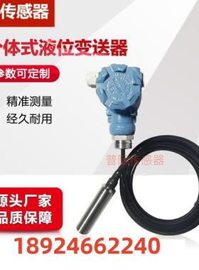 DLTH19投入式液位变送器液位计水位计油位计传感器厂家