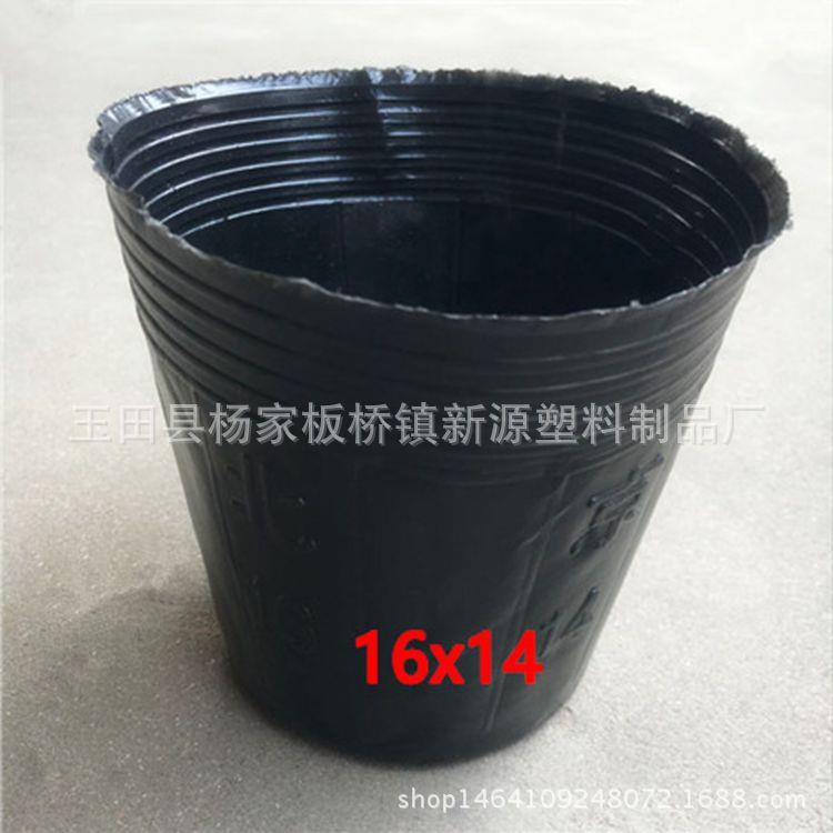 营养钵厂家供应16x14营养杯育苗杯花卉苗木育苗袋
