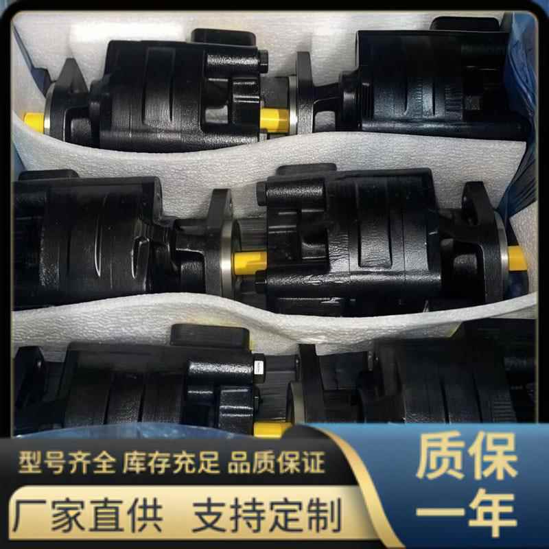 KP20.11.2 系列 凯斯帕齿轮泵,国产 CASAPPA型 液压泵