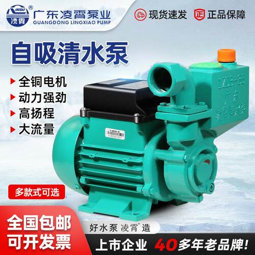 凌霄水泵1DZB-35/45/65抽水机自来水井水抽水220V自吸清水增压泵