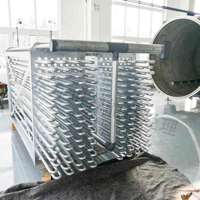 芒果猕猴机桃真空冻干红心火龙HFD2500L果柠檬片低温脱水设备干果