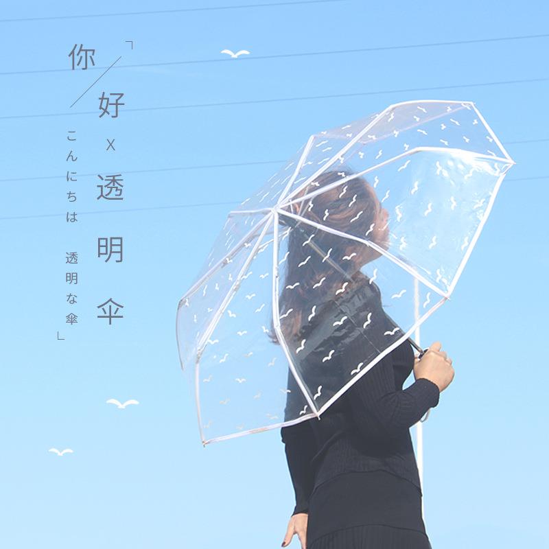 伞透明伞折叠伞全自动伞韩式透明雨伞小清新少女多色晴雨伞学生伞