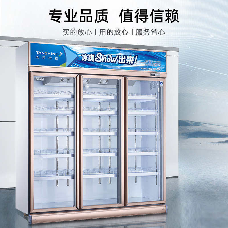 天翔冷柜饮料冷藏展示柜商用便利展示柜