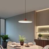 灯全光谱护眼餐厅吊油风新款 厅主灯餐 饭飞碟灯创意简约奶法313式