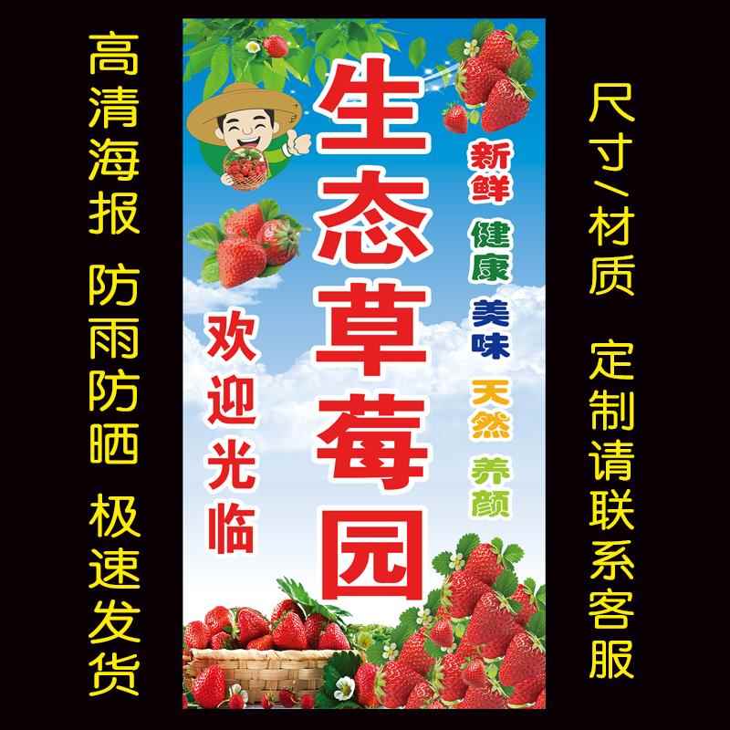 生态草莓采摘广告海报防水自黏贴纸户外大型广告喷绘布