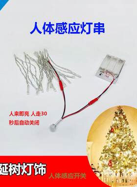 LED人体感应灯串闪灯满天星网红卧室小串灯浪漫氛围灯圣诞树灯饰A