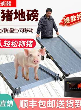 正兴衡器防遥控称猪电子秤抓猪笼1吨小地磅双坡道移动畜牧电子秤