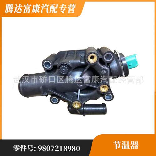 适用于标致 雪铁龙 DS 发动机出水室 9807218980