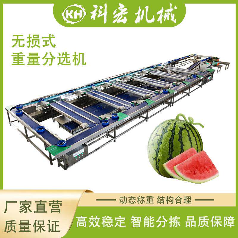 机械无损式重量分选机菠萝西瓜甜瓜智能分选重量分拣