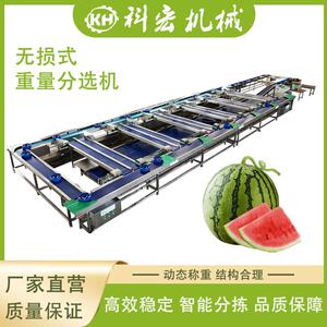 机械无损式重量分选机菠萝西瓜甜瓜智能分选重量分拣