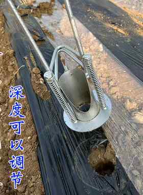 西瓜种植打孔器农用工具取土撒饵器草莓辣椒烟苗移栽移苗定植神器
