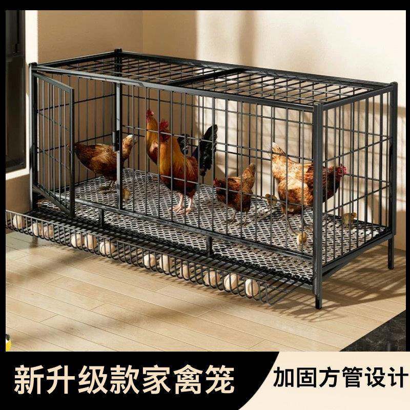 鸡笼子加密方管框架加固室外养殖自动出蛋鸡舍铁丝网鸭笼兔子笼