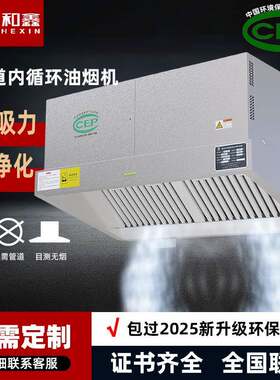 油烟净化一体机无烟管商用内循环油烟机厨房无管道环保油烟净化器