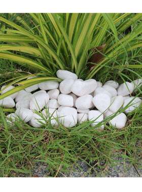 白｜色透水铺区装白石精选水鹅卵石｜园林景防滑圆润STY20240砾洗