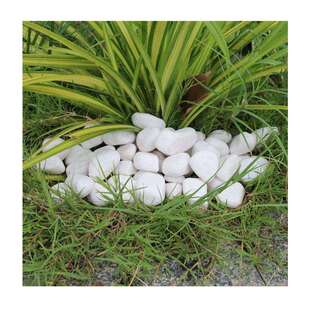 白｜色透水铺区装 白石精选水鹅卵石｜园林景防滑圆润STY20240砾洗