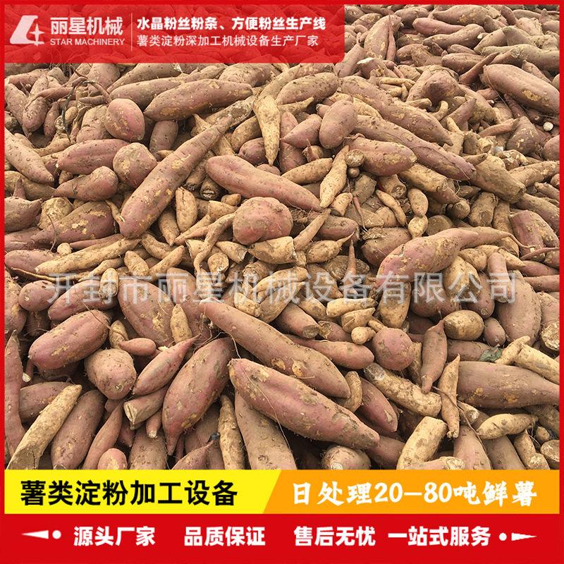 丽星厂家供应土豆淀粉加工设备,日产10吨淀粉生产机器