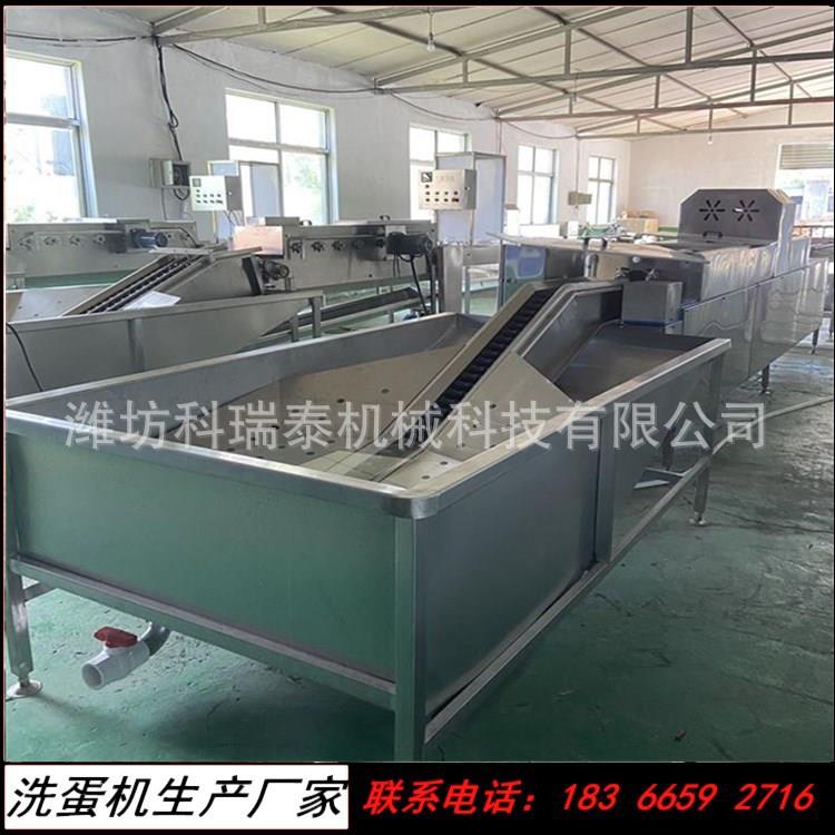 定制生产咸鸭蛋清洗线 多型号加长型洗蛋机 鸭蛋鸡蛋自动清洗机