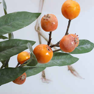 枇杷枝 家居客厅装 酒店样泡板间 20沐仿真果实8果苹果枝饰 20066