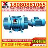 嘉兴VJP5不0系列水环真空泵铸铁锈钢真空泵MFF配套罗茨机组2真空