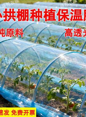 PO大棚内膜小拱棚专用膜二膜农用保温种菜塑料薄膜淡蓝色3S加厚