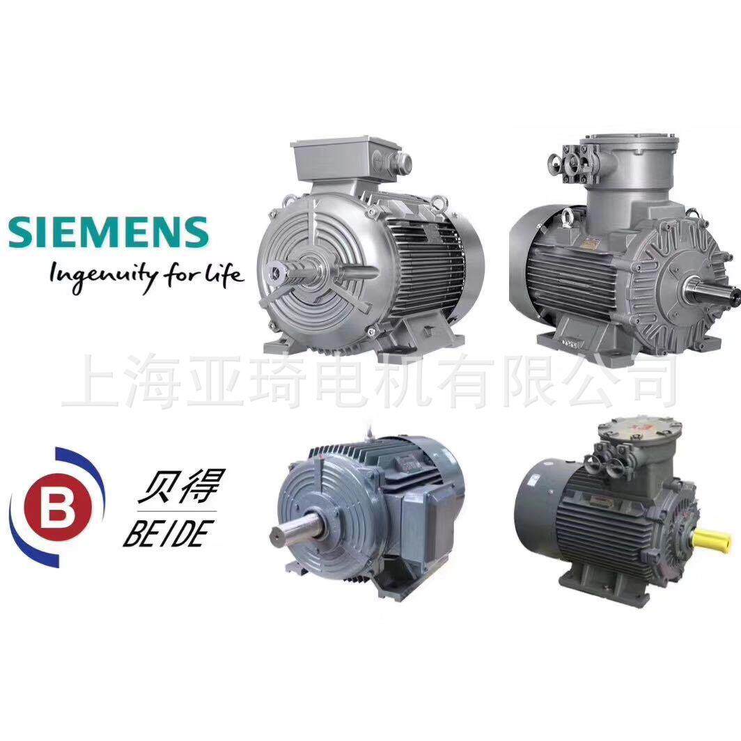 1TL0003-1DB23-3AA5-11KW-4-B3电机