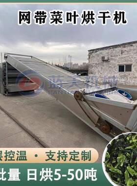 网带菜叶子烘干机大型连续式青菜油菜叶空心菜萝卜叶蔬菜干燥机