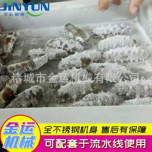 金运供应黄桃速冻机果蔬保鲜设备海鲜液氮速冻小型设备