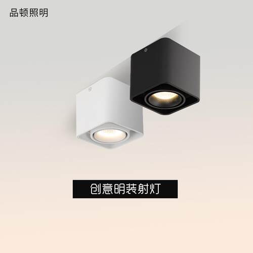 明装筒灯led单头双头射灯无主灯可调免开孔筒射灯过道豆胆灯长筒