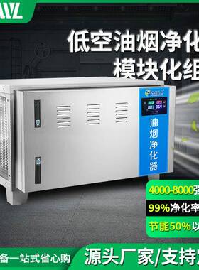 厨房抽油烟机酒店餐饮业饭店油烟净化设备静电式净化器高效排烟