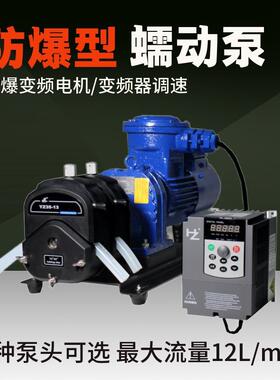 工业型防爆蠕动泵FT600-2J系列变频器控制工业生产精细化工制药泵
