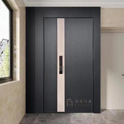 智能一门一景入户门精雕铸铝门别墅门甲级防盗门定制进户子母门DM