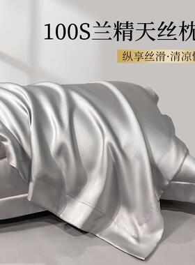 天丝夏季枕套真丝枕头套一对装冰丝枕头套48cmx74cm2024新款2
