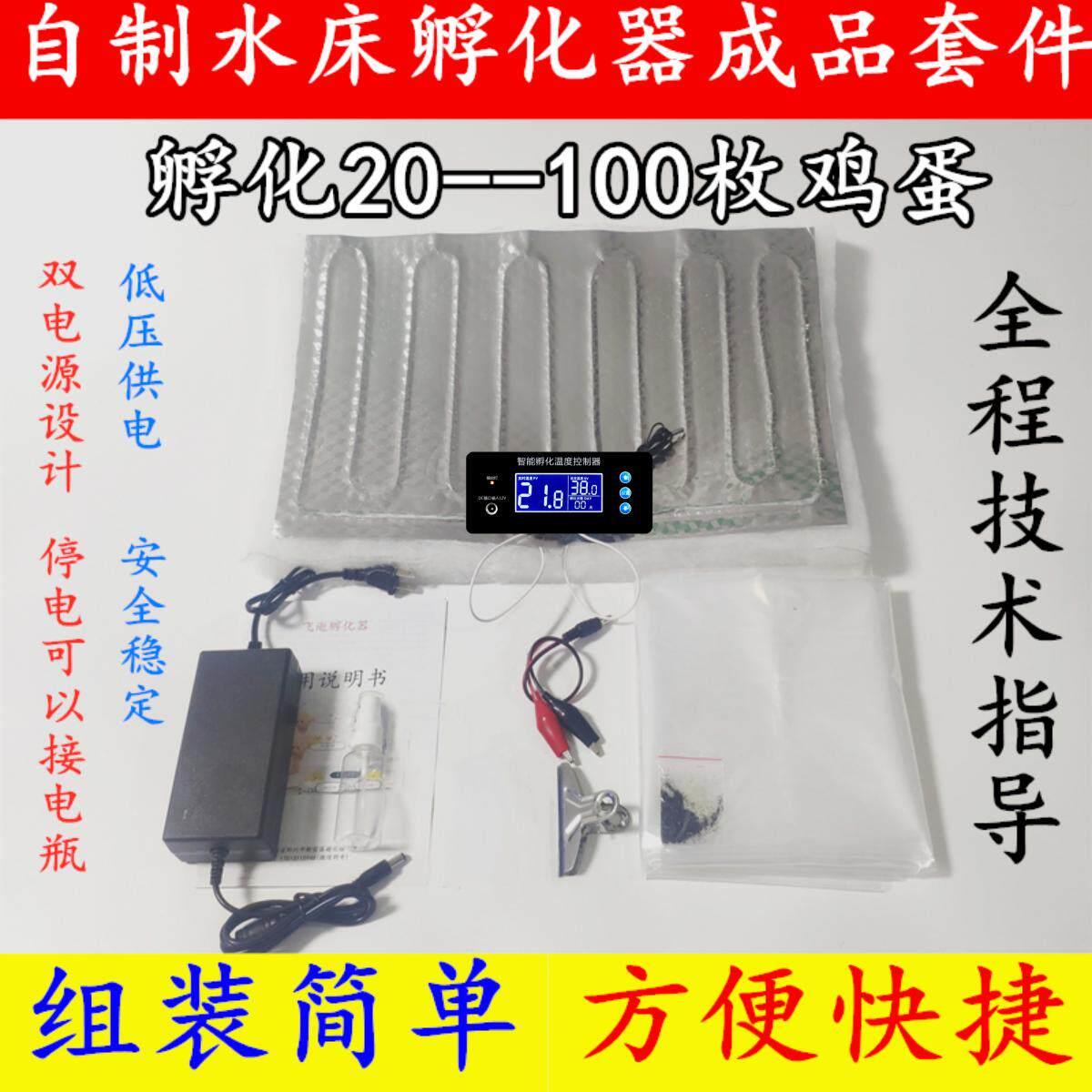自制大型水床孵化器全套配件孵化箱专用套件孵化机自动控温加热垫图片